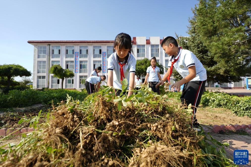 迎新跳槽网投彩金网